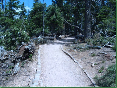 Rainbow Point Drive 035