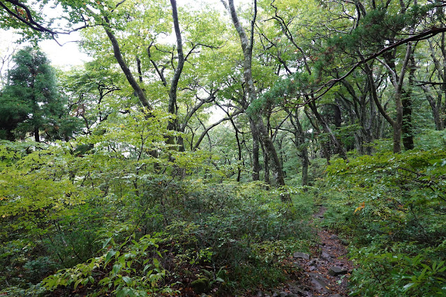 鳥取県西伯郡大山町大山　大山登山道