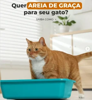 gato laranja e branco na caixa de areia azul: promoção imperdível de areia grátis para felinos na cobasi