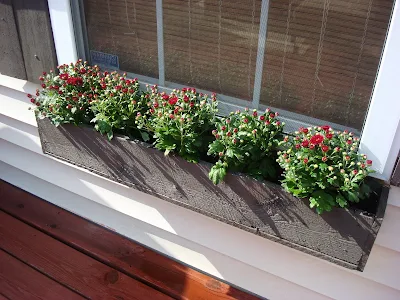 simple cedar wood window boxes