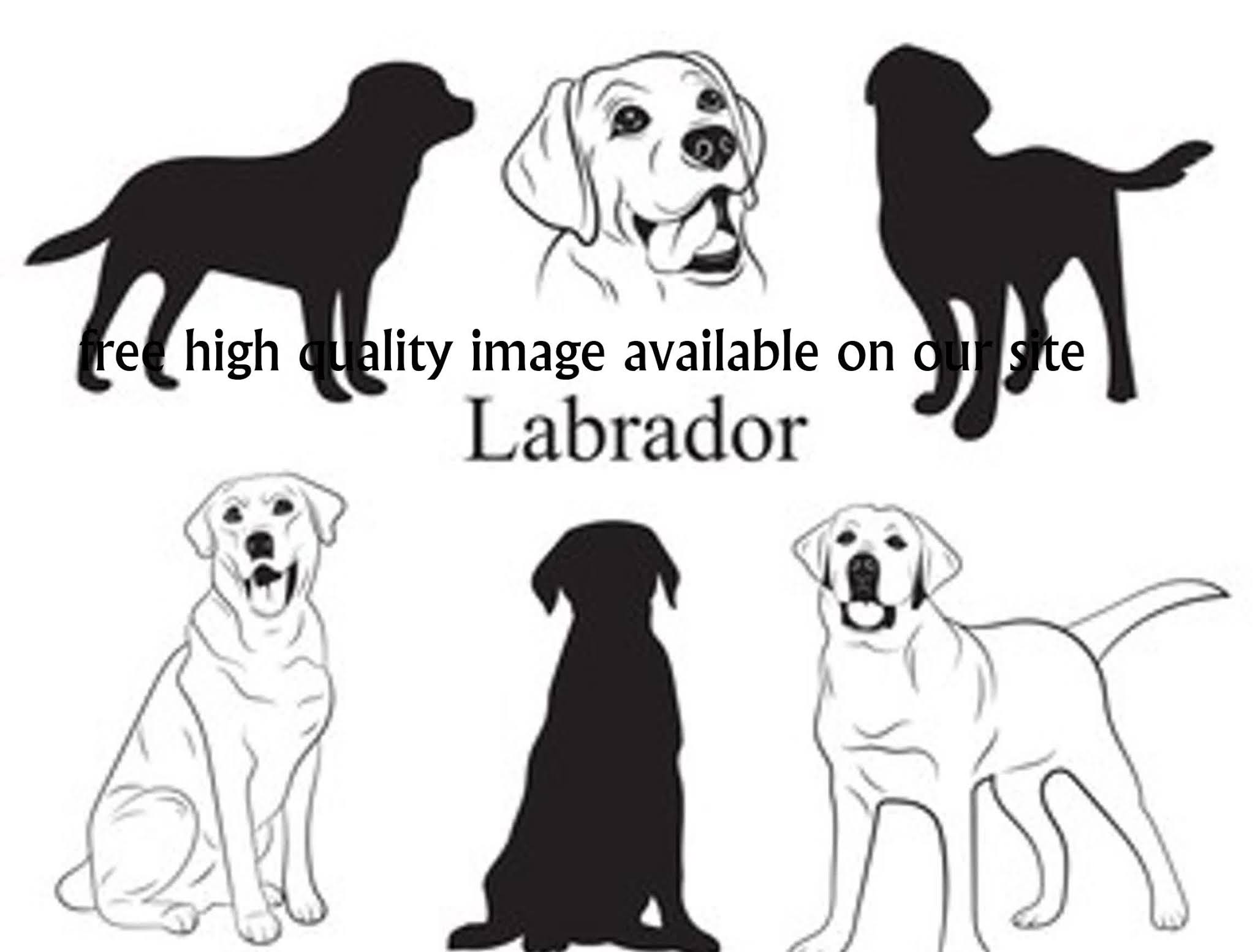 face, dog, smile, drawing, animal, illustration, pedigree, tattoo, set, head, canine, background, cute, puppy,labrador, mammal, cartoon, silhouette, character, pet, graphic, friend, doggy, art, purebred, black, collection, funny, paws, lying, vector, happy, portrait, domestic, golden, breed, logo, isolated, design, artwork, nature, family, down, icon, retriever, sign, hound, symbol, beautiful