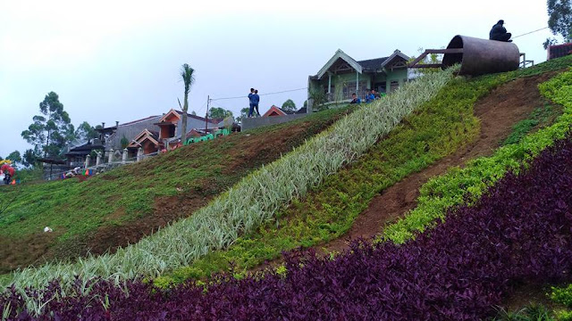 Rumah Hobbit Taman Kelinci Batu