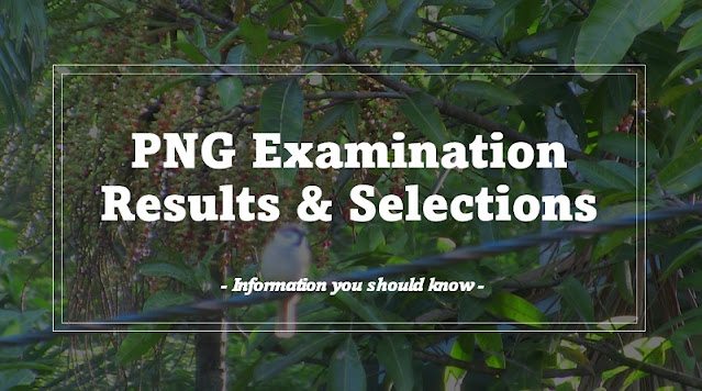 2024 Grade 11 selection list - png results pg.results.news