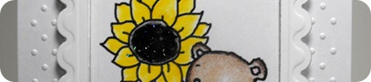 amberswhiteonwhitecopy