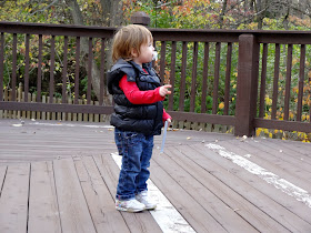 Bird Watching 