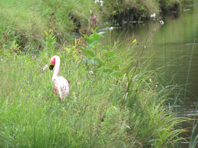 plastic flamingo in grass by river