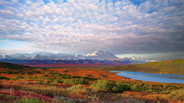 USA nature landscape Denali National Park HD Wallpaper