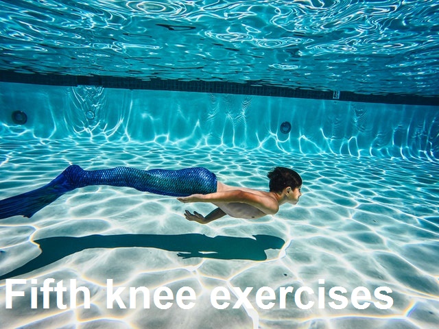 Fifth knee exercises