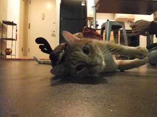 058dev-DSCF5444