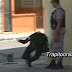Camara capta momento que le dan tiro a policía en protesta en SFM