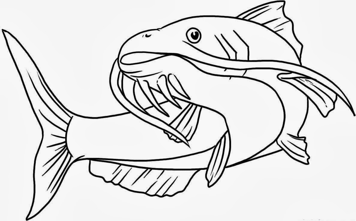 90 Gambar Ikan Lele Kartun Hitam Putih Cikimmcom