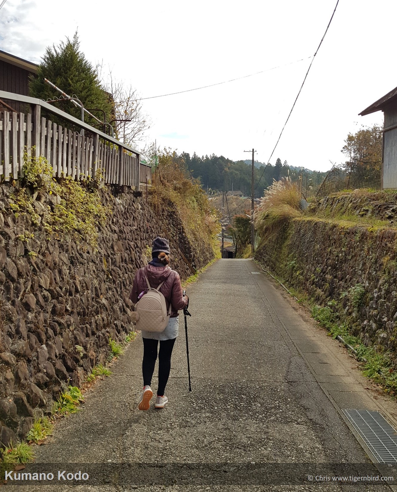 Narrow path between stone abutments on the Kumano Kodo trail in Japan