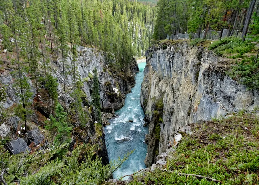 Sunwapta Falls