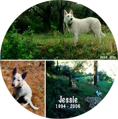 Jessie 1994 - 2006