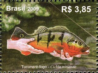 15 Jenis Ikan Peacock bass