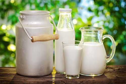organik süt