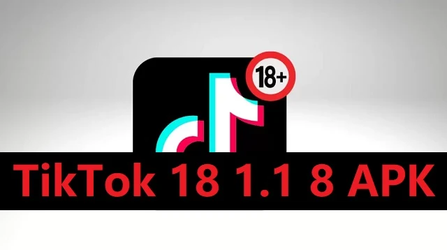 TikTok 18 1.1 8 APK