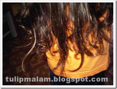 IMG02107-20111128-1800