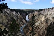 Following are icons of Yellowstone: Yellowstone Falls (yellowstone )