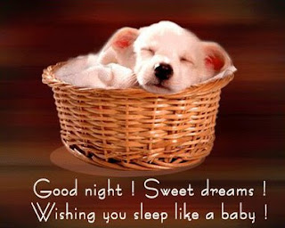 Good Night Sweet