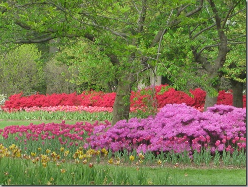 flowers 002