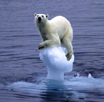 polar bear on ice