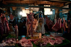 BKK2009-028