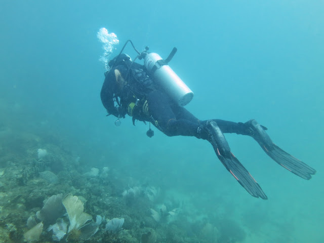 Mergulho em Cabo Frio