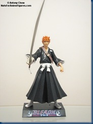 bleach5