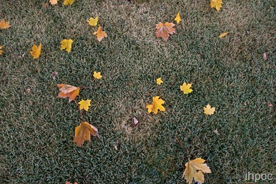 IMG_8817 copy