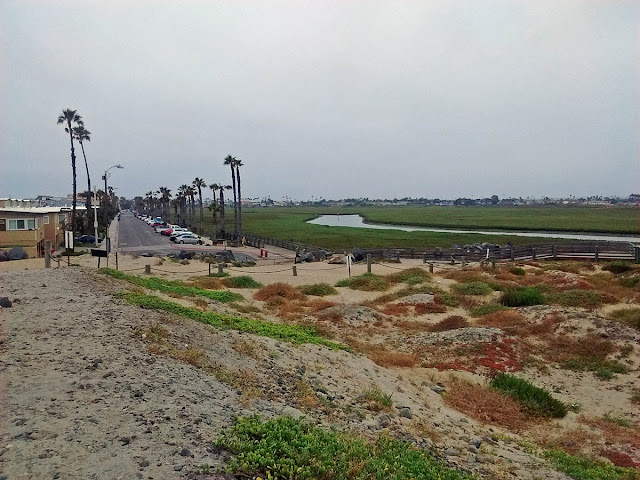 Tijuana River mouth Seacoast Drive