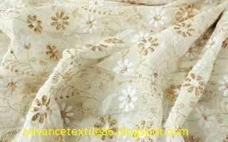 Embroidered Georgette fabric