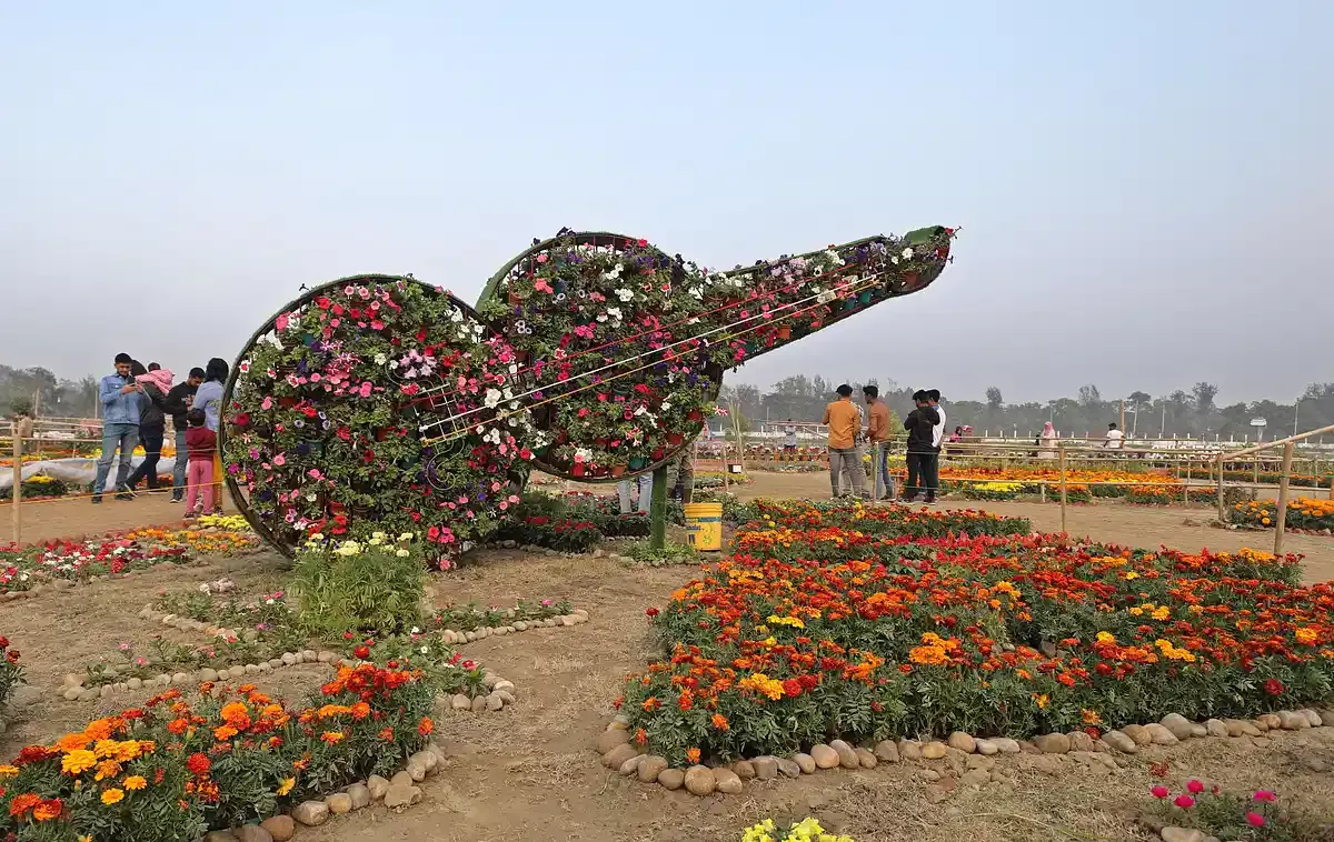 ডিসি পার্কের ছবি ডাউনলোড - চট্রগ্রাম  ডিসি পার্কের পিক - ডিসি পার্কের পিকচার - DC park photo -  insightflowblog.com - Image no 4