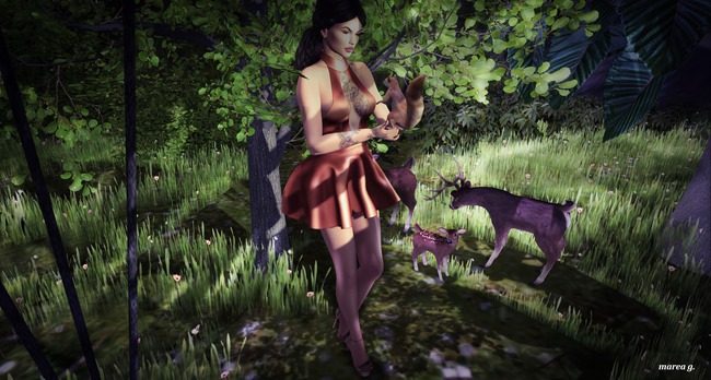 1c_005_edited
