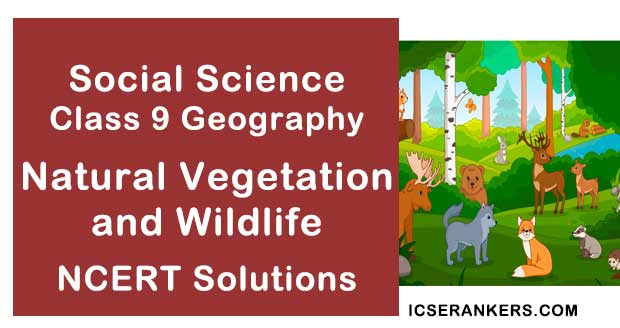 NCERT Solutions Class 10 Social Science Geography Chapter 5 Natural Vegetation and Wild Life