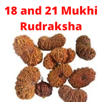 18 and 21 mukhi rudraksha in India