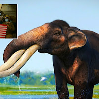 Fosil gajah purba 'raksasa' berusia lebih 30 ribu tahun ditemui di Gopeng, Perak