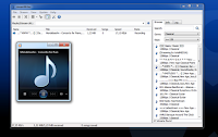 Download Streamwriter: Burn your favorite online radios