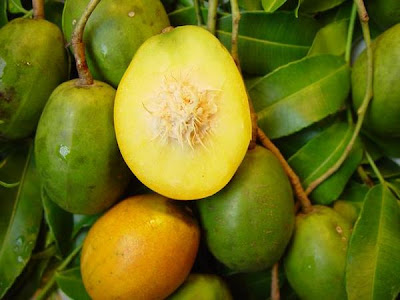 Seychelles Food Sensations Golden Apple Fruite Cythere