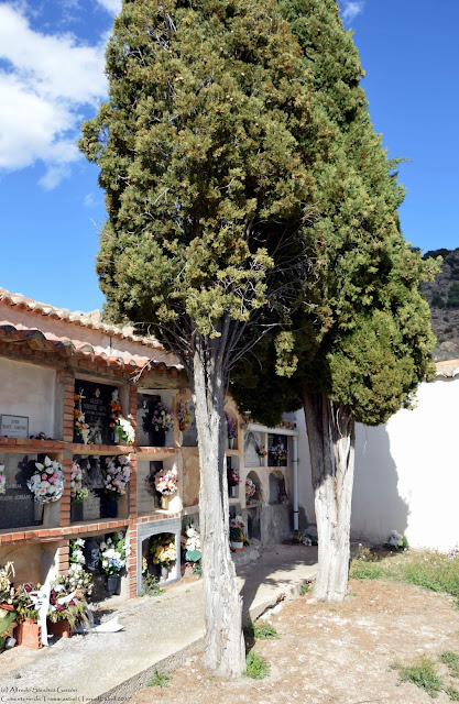 tramacastiel-teruel-cementerio