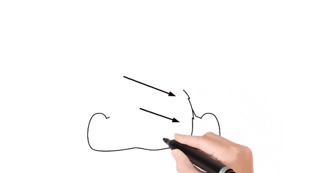 How to draw a bear for kids.