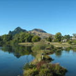 View album