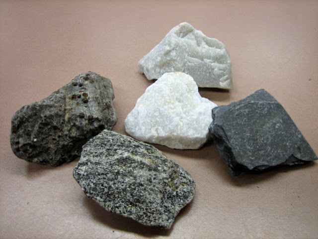 http://ed101.bu.edu/StudentDoc/Archives/ED101fa07/clb/metamorphic.html