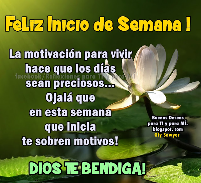 FELIZ INICIO DE SEMANA!  La motivación para vivir, hace que los días sean preciosos... Ojalá que en esta semana que inicia, te sobren motivos!  DIOS TE BENDIGA !