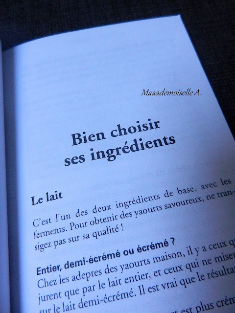 Yaourts inratables, 100 recettes faciles, naturelles et gourmandes (Présentation & Avis)