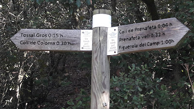 LA COGULLA - EL TOSSAL GROS Figuerola del Camp -(Alt Camp) -  Montblanc - (Conca de Barberà); Camí ral de Montblanc passat el Coll de Prenafeta i en direcció al Tossal Gros