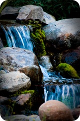 _MG_0922-1