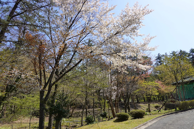 鳥取県西伯郡大山町鈑戸 別荘地