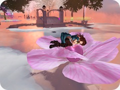 Tvd_20090518a_012