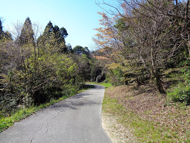 弥生の森の遊歩道
